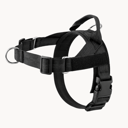 Black Harness