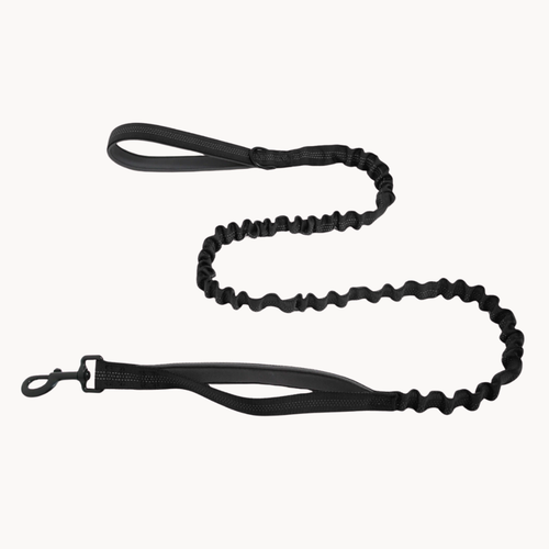 🎁 FREE ParoPet Bungee Lead